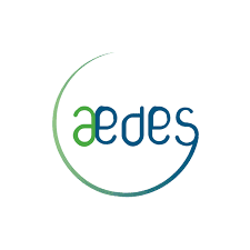 Aedes